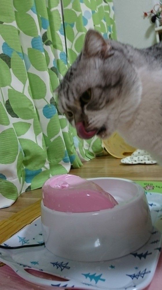 流れるお水が大好きな空くん