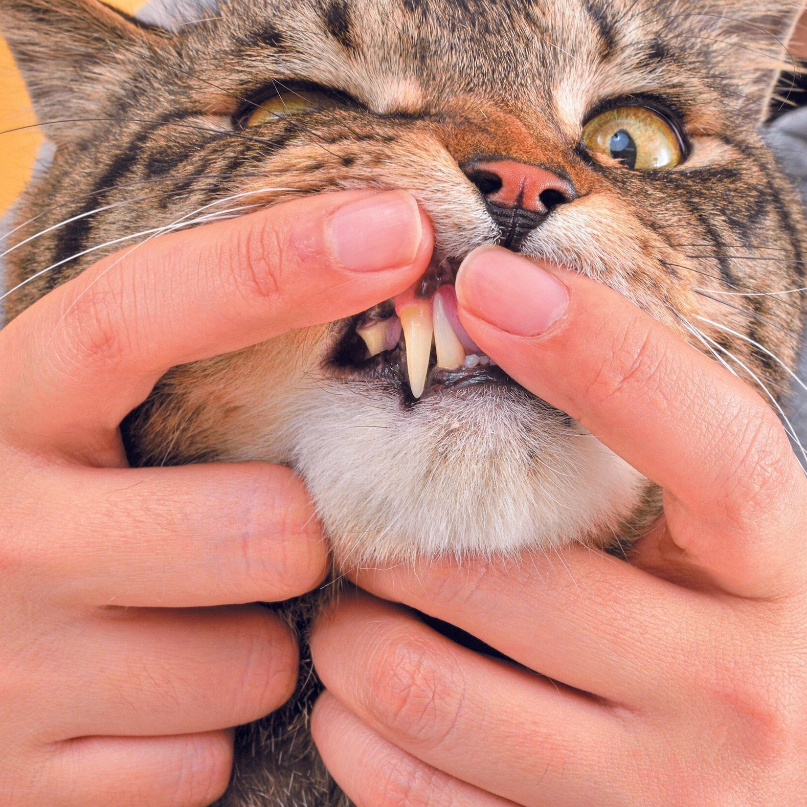 撮影／佐藤正之