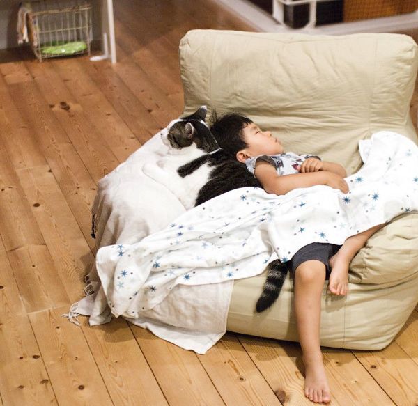 いつも一緒にいる男の子と猫