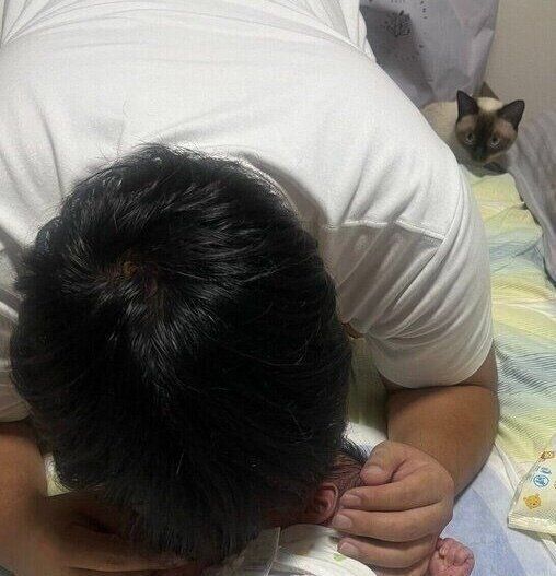 夫と赤ちゃんのことを見つめるぷよくん