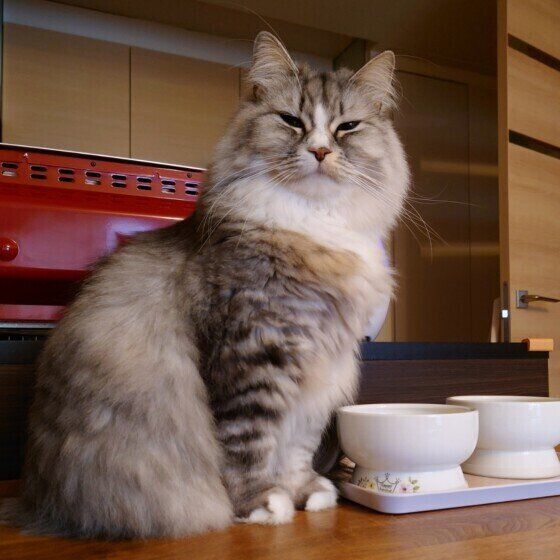 3才のるなちゃん