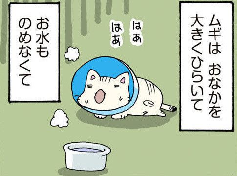 ©片倉真二/講談社