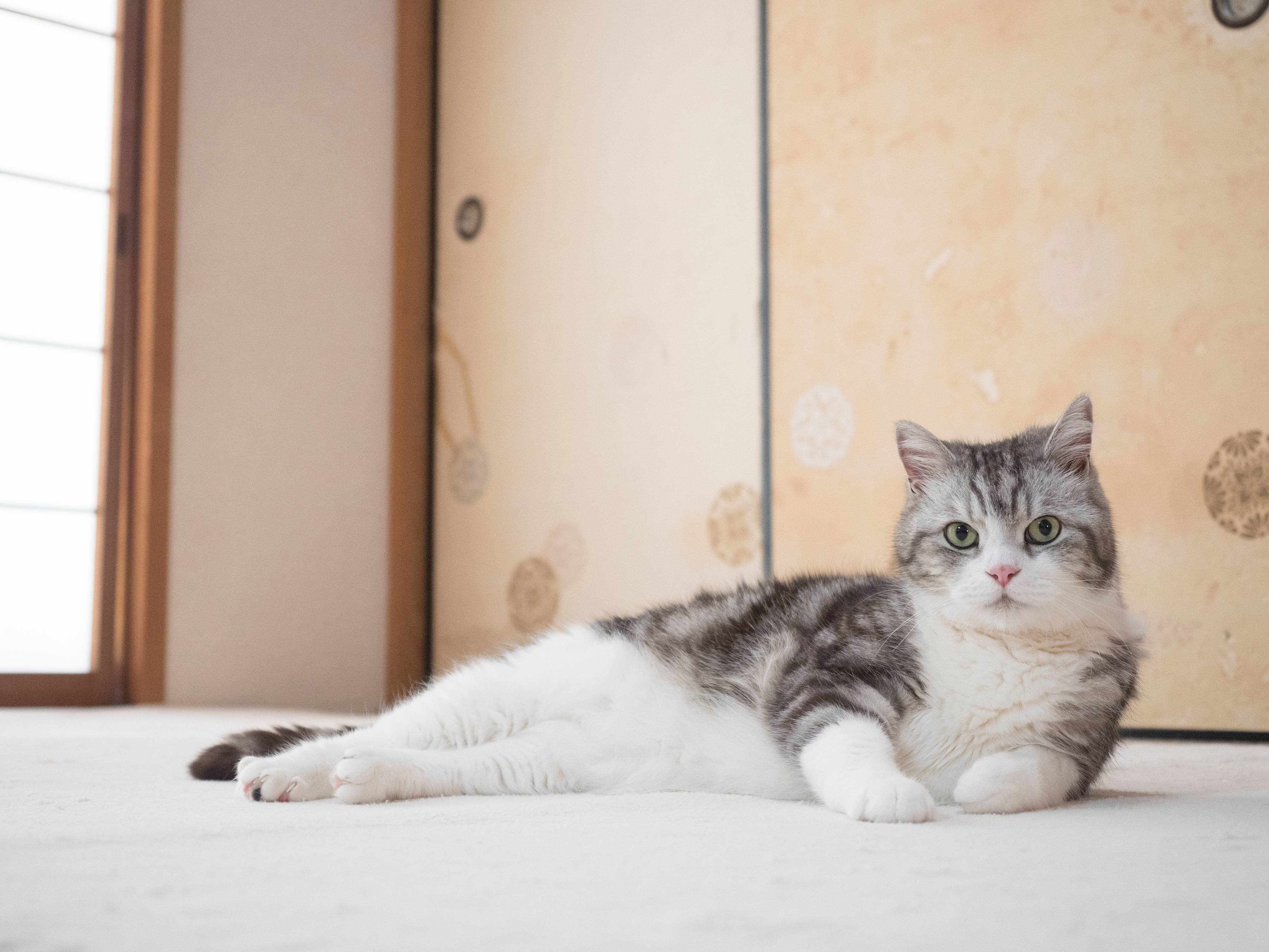 撮影／小森正孝