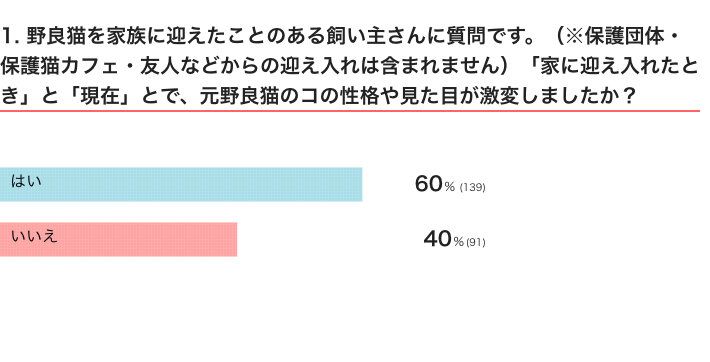 ねこのきもちWEB MAGAZINE『野良猫を家族に迎えた経験に関するアンケートvol.01』　231件の回答