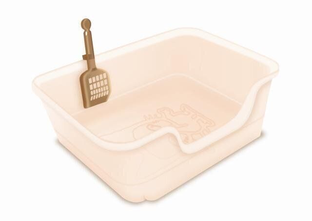 写真提供／ライオンペット