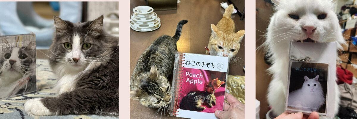 うちのコ表紙メーカー