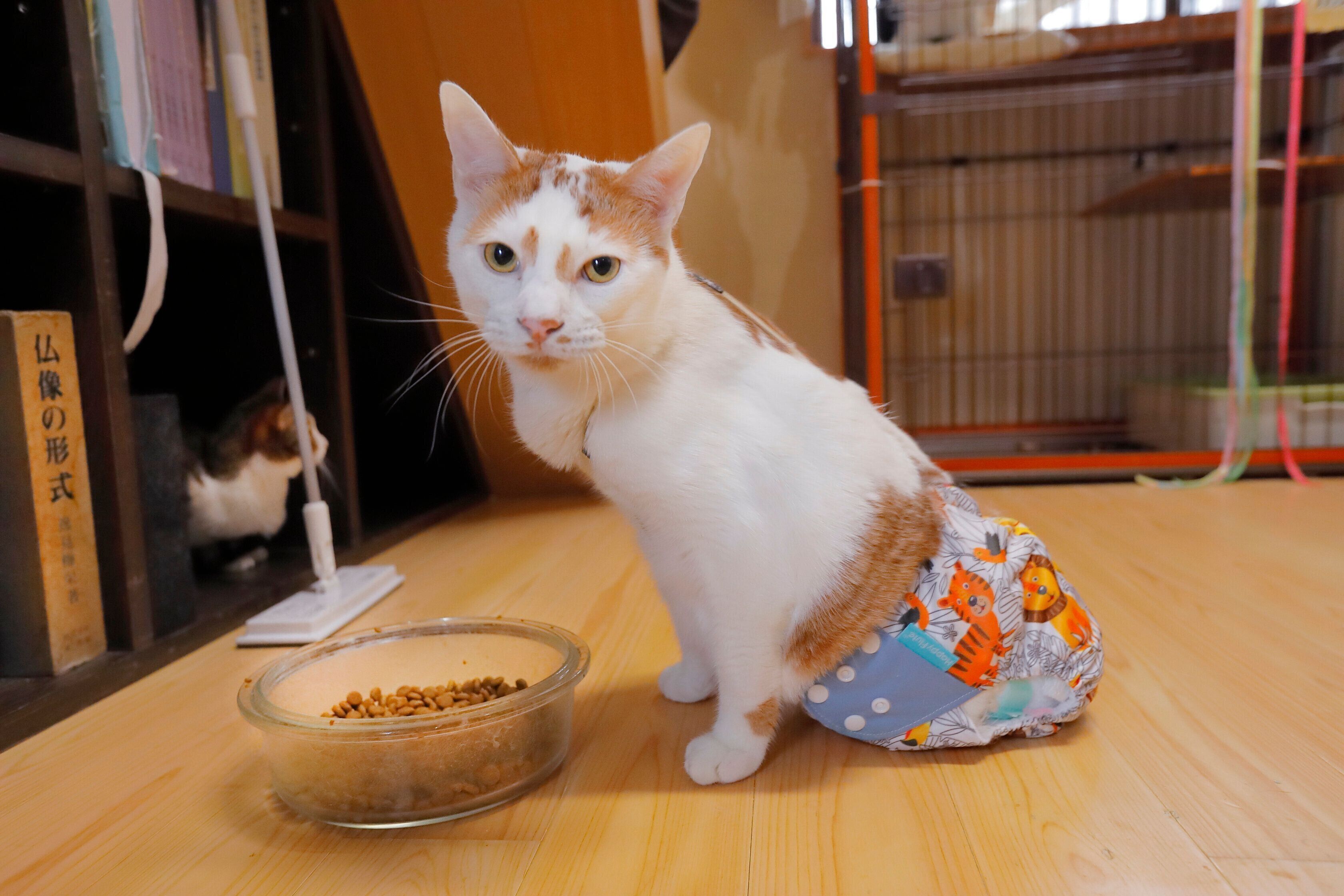 撮影／後藤さくら