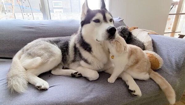 じゅんちゃんとはっちゃん