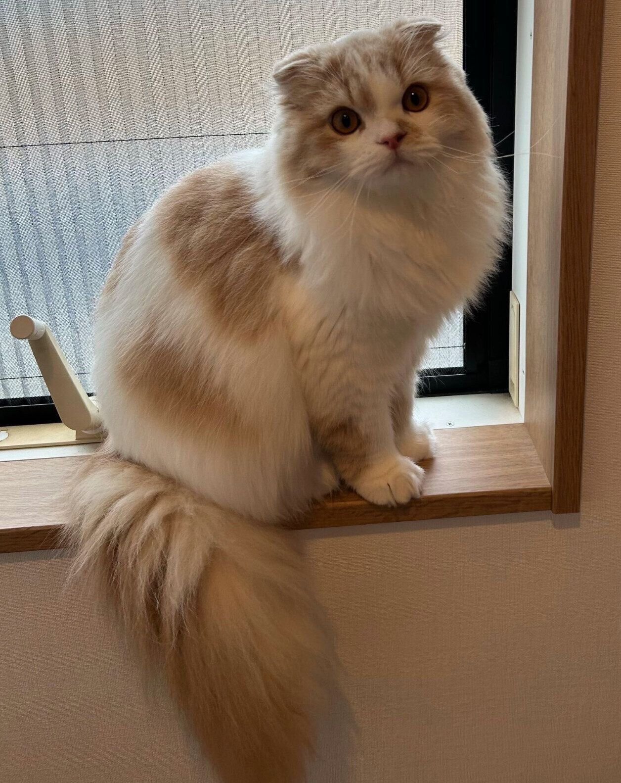 生後8カ月になったらいくん