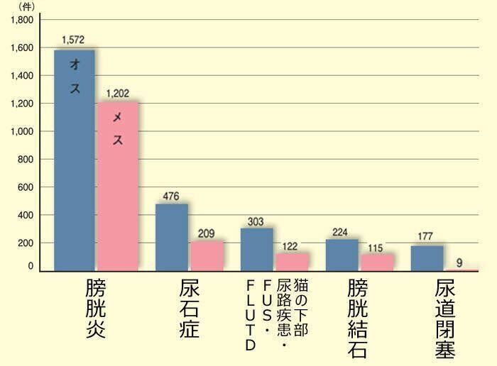 泌尿器の病気のうち、オスに多いもの