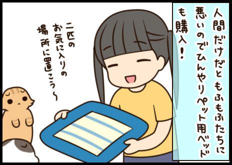 「もふもふスコたん」サムネイル