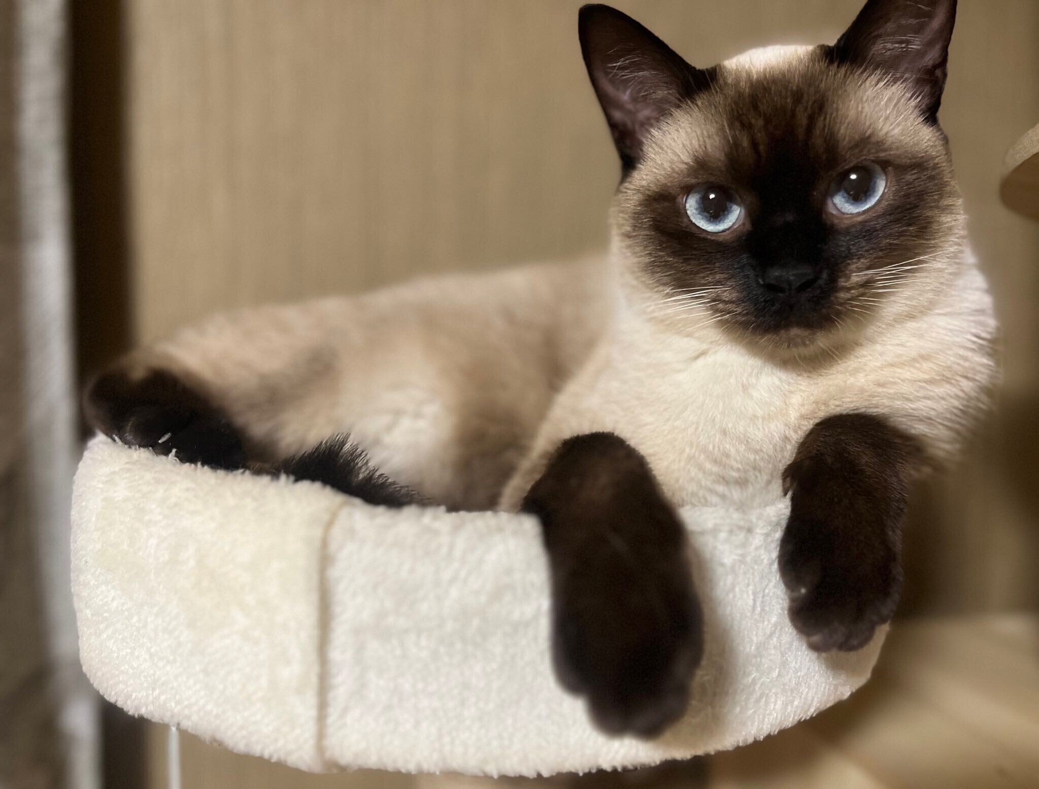 「今日もプリチーだね」