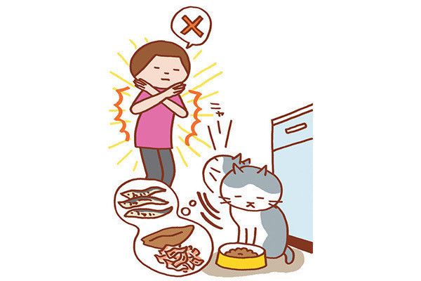 ゴハンを食べる猫