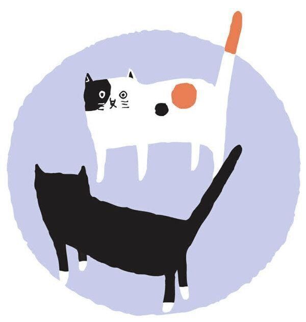 飼い主さんが気になる"おひとり猫"に関するアレコレ