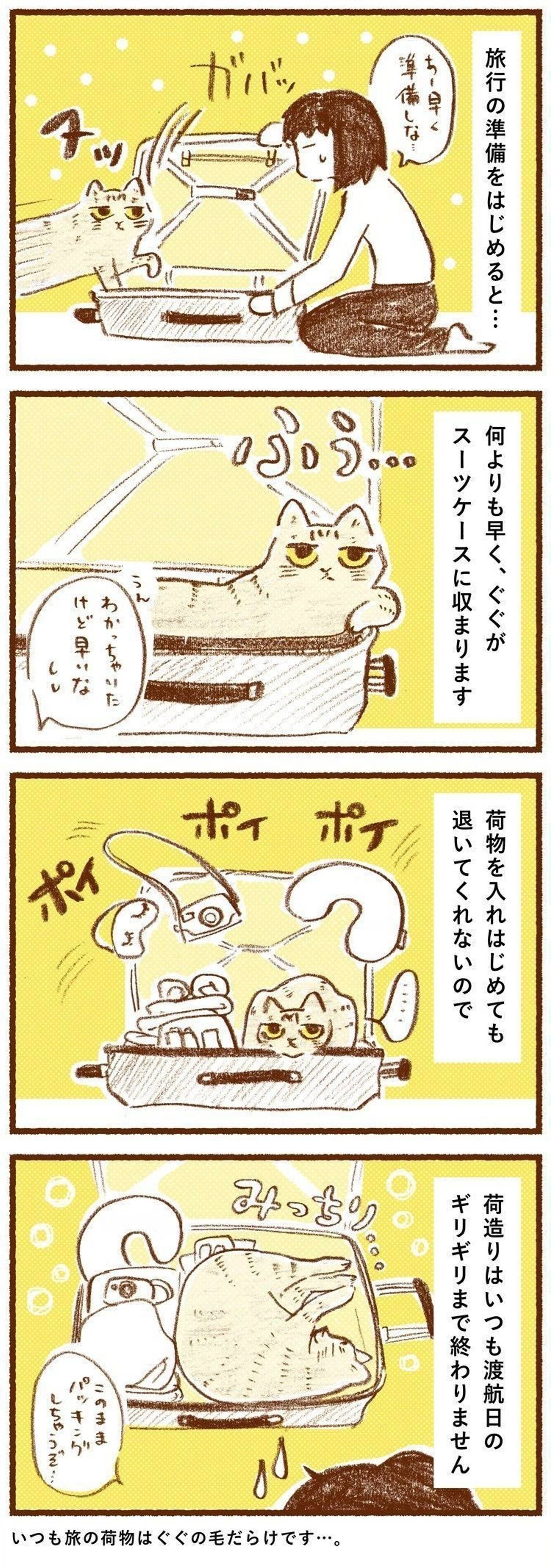 スーツケースは猫のお気に入り なかなか進まない旅行の準備 しまねこぐぐ Vol ねこのきもちweb Magazine スーツケースは猫のお気に入り なかなか進まない旅行の準備 しまねこぐぐ Vol ねこのきもちweb Magazine