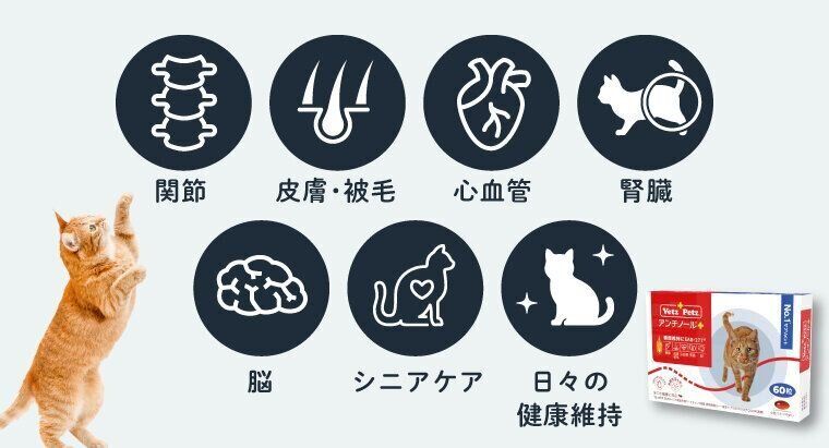 <PR>愛猫の健康を維持する「備え」を『ねこのきもち編集室』と一緒に考えよう! 手軽にはじめられるサプリって、結局なにをしてくれるの?|ねこの ...