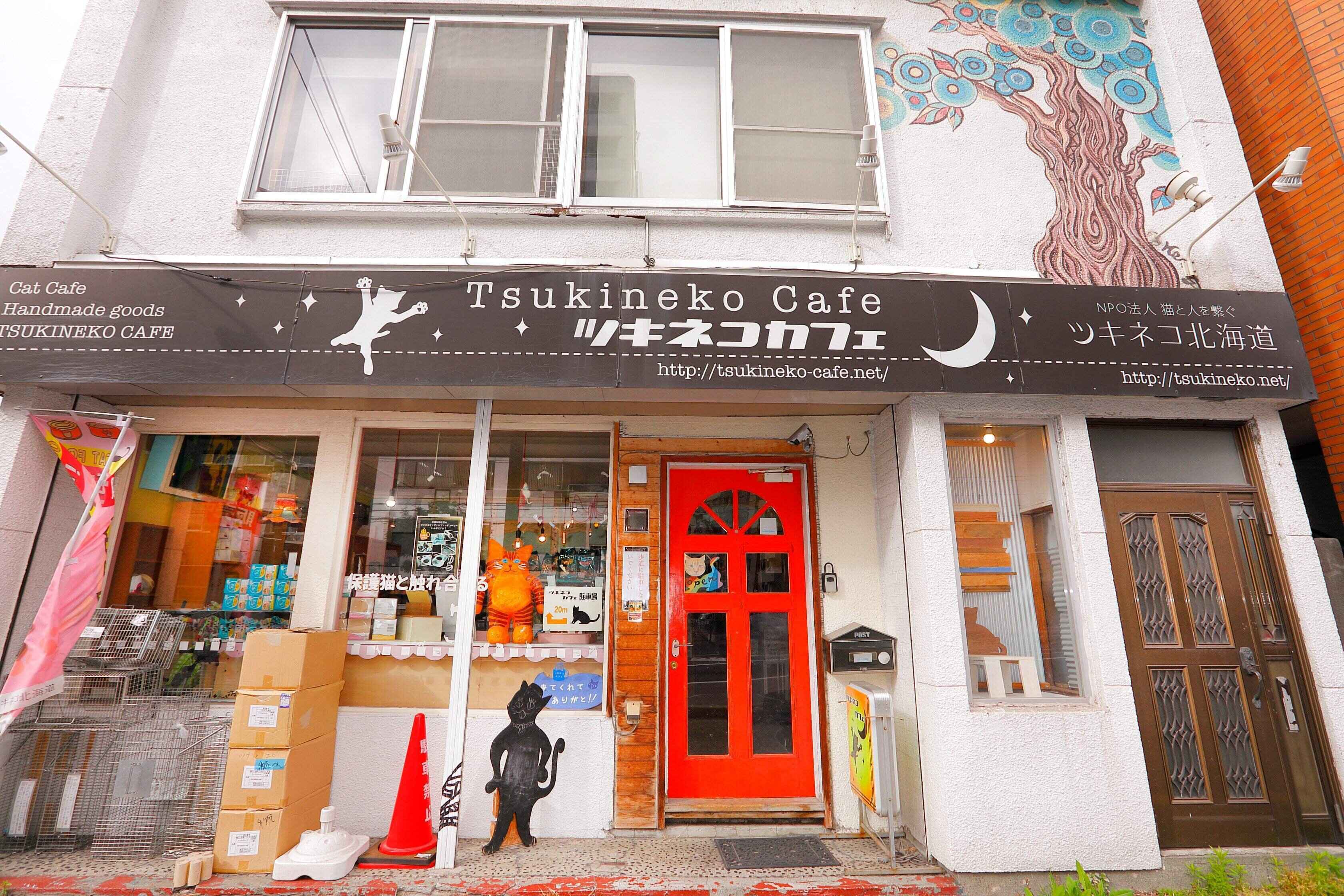 撮影／後藤さくら