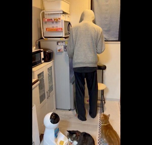 ごはんの準備をする飼い主さん