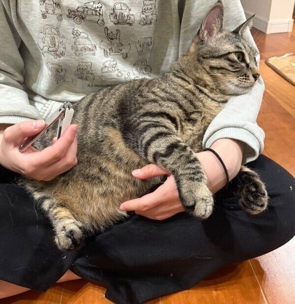 爪切り中も甘えます