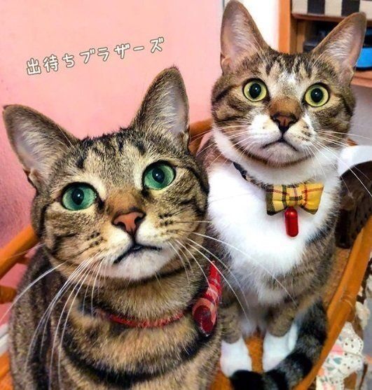 出待ちブラザーズ