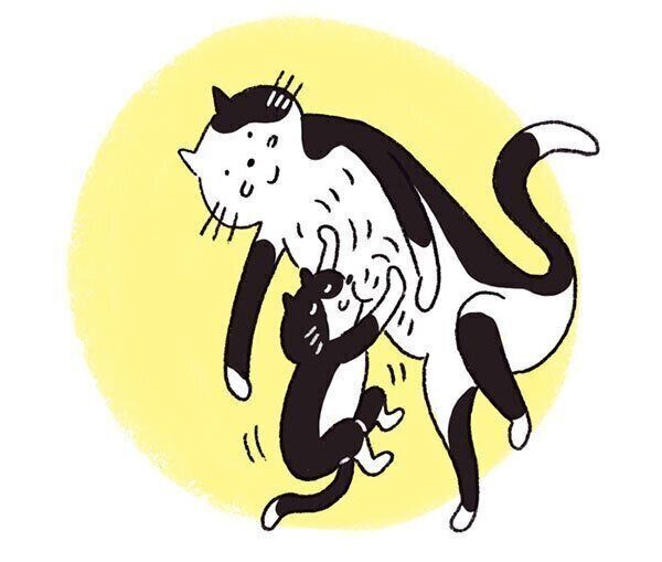 イラスト／ナカオテッペイ