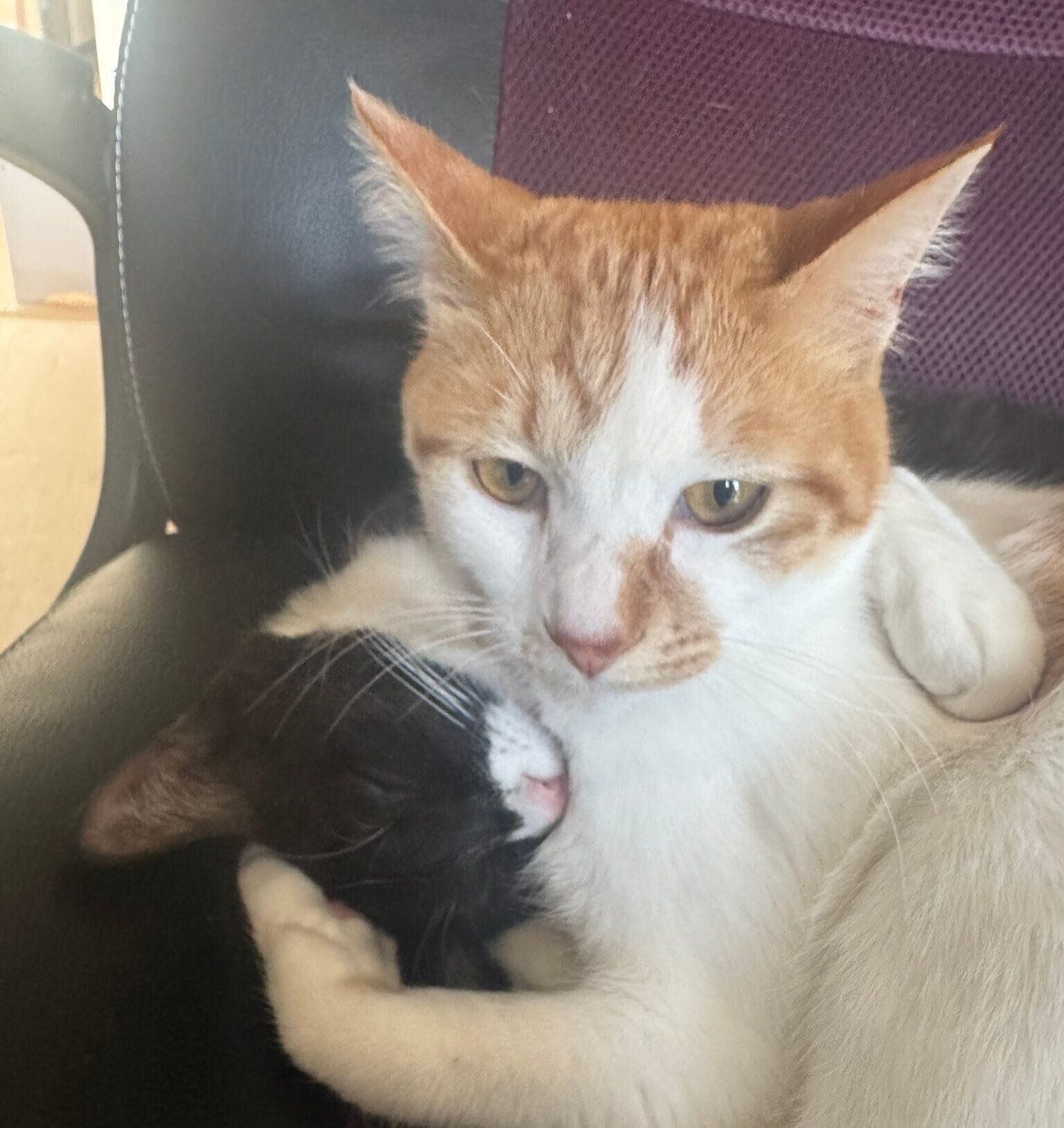 抱き合うびびくんとジジちゃん