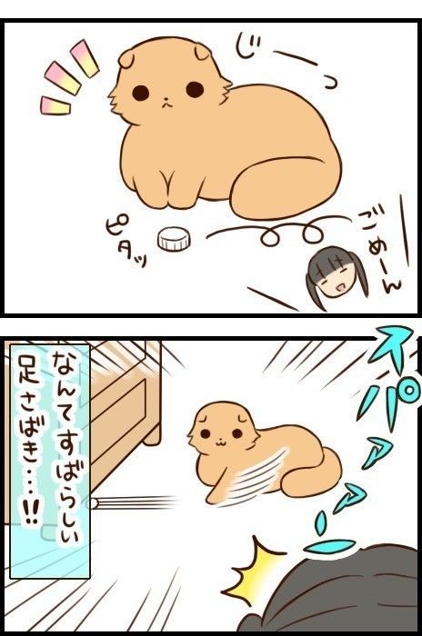 「もふもふスコたん」16話