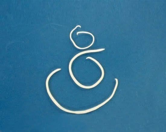 猫回虫幼虫移行症