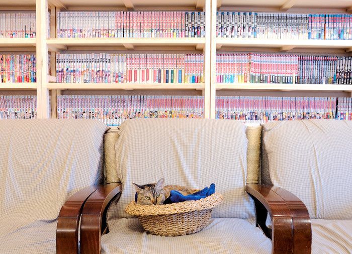 東京　町田　猫カフェ　ねこのみせ