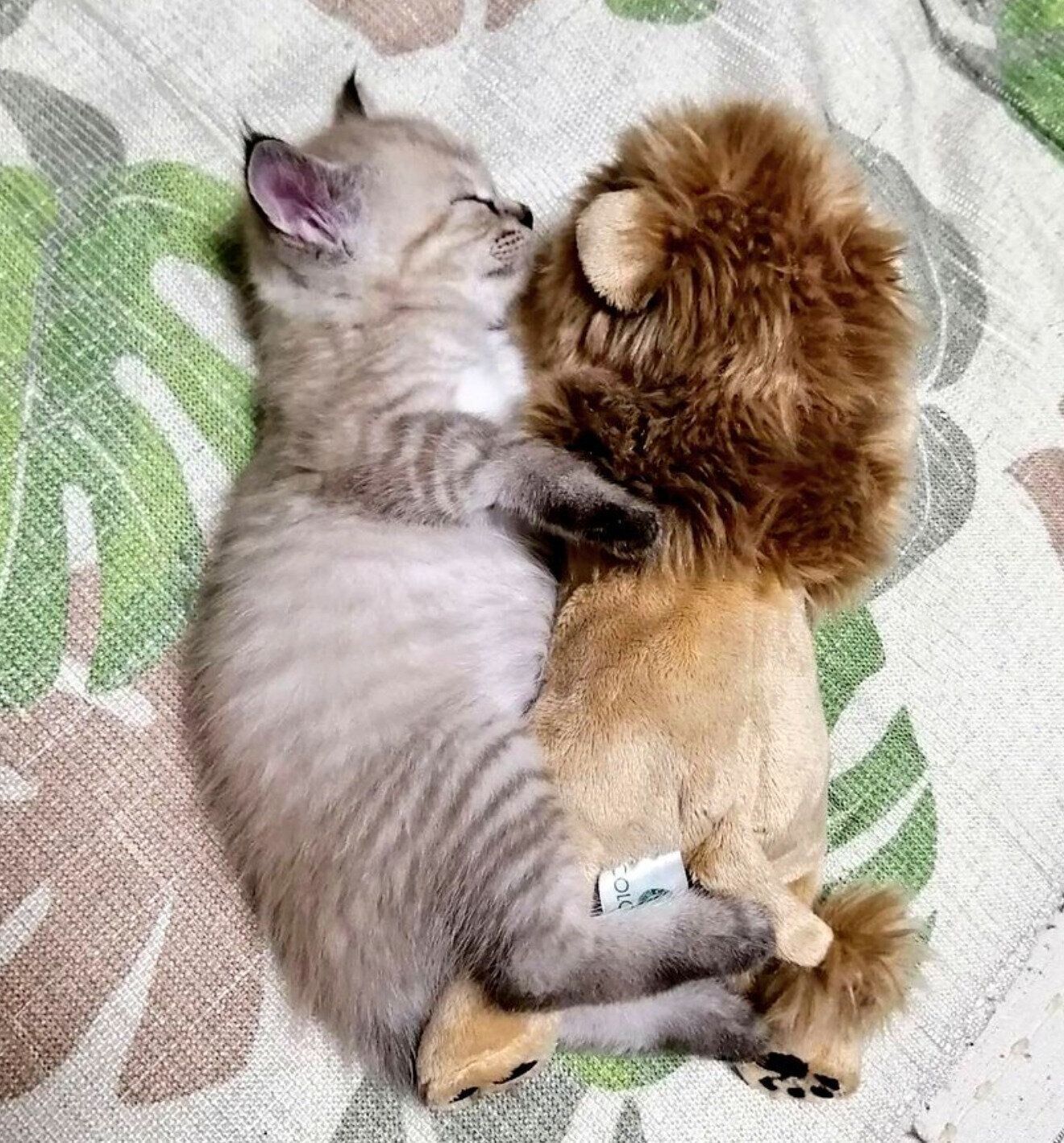 生後推定1カ月のころに撮影したつむぎちゃん