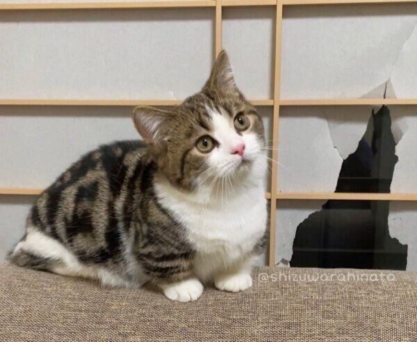 生後9カ月のひなたくん