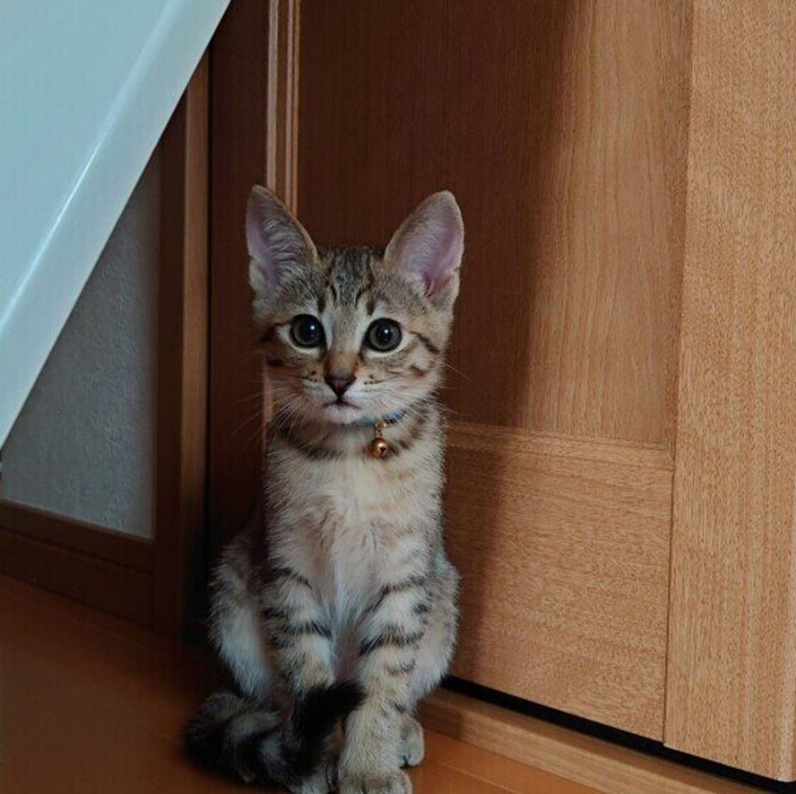 Id5o2dbbwytf M Id5o2dbbwytf M