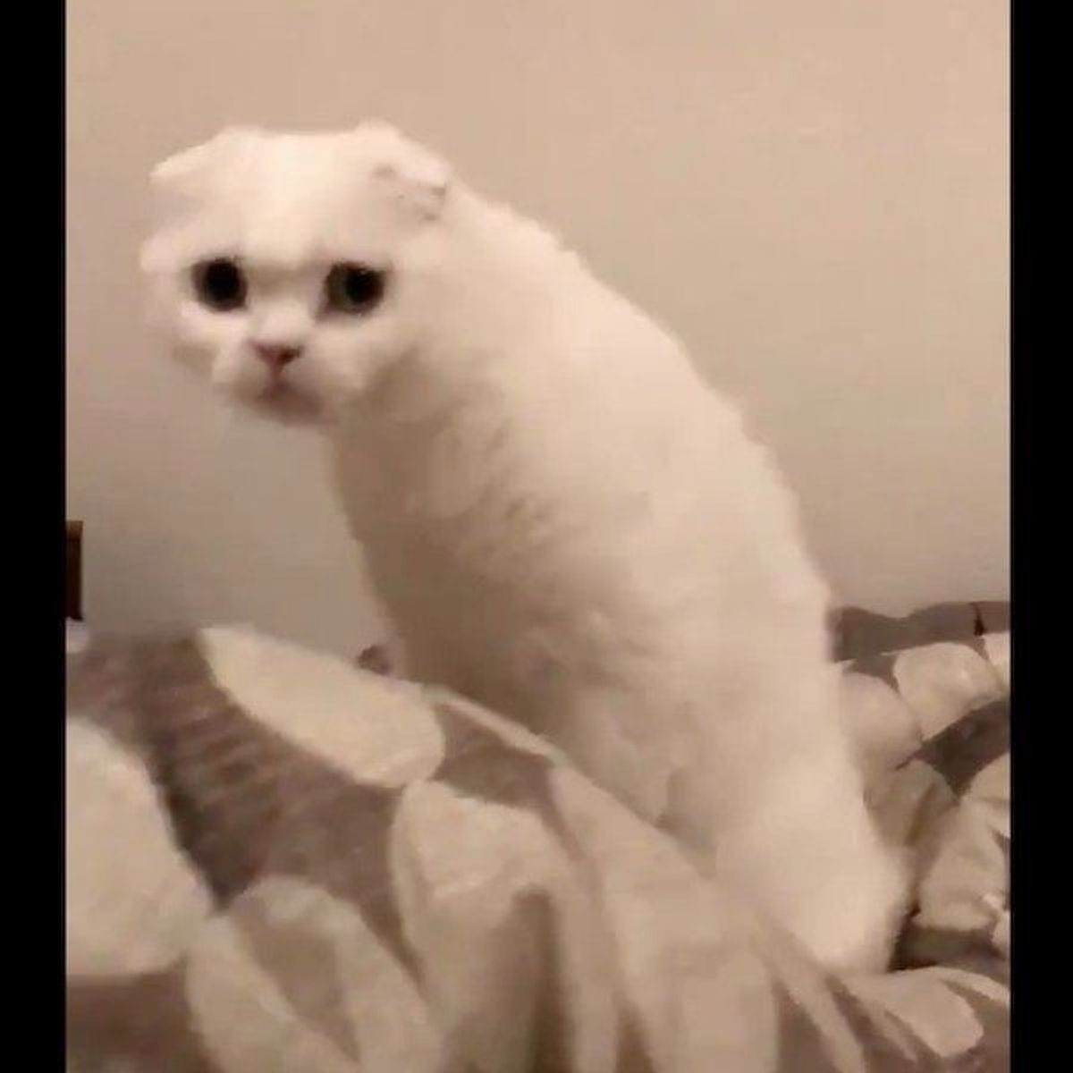 C8xn8f2pgl9qkm C8xn8f2pgl9qkm