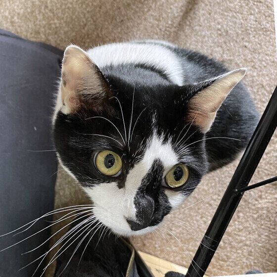 Mix（黒×白）のトトちゃん♪