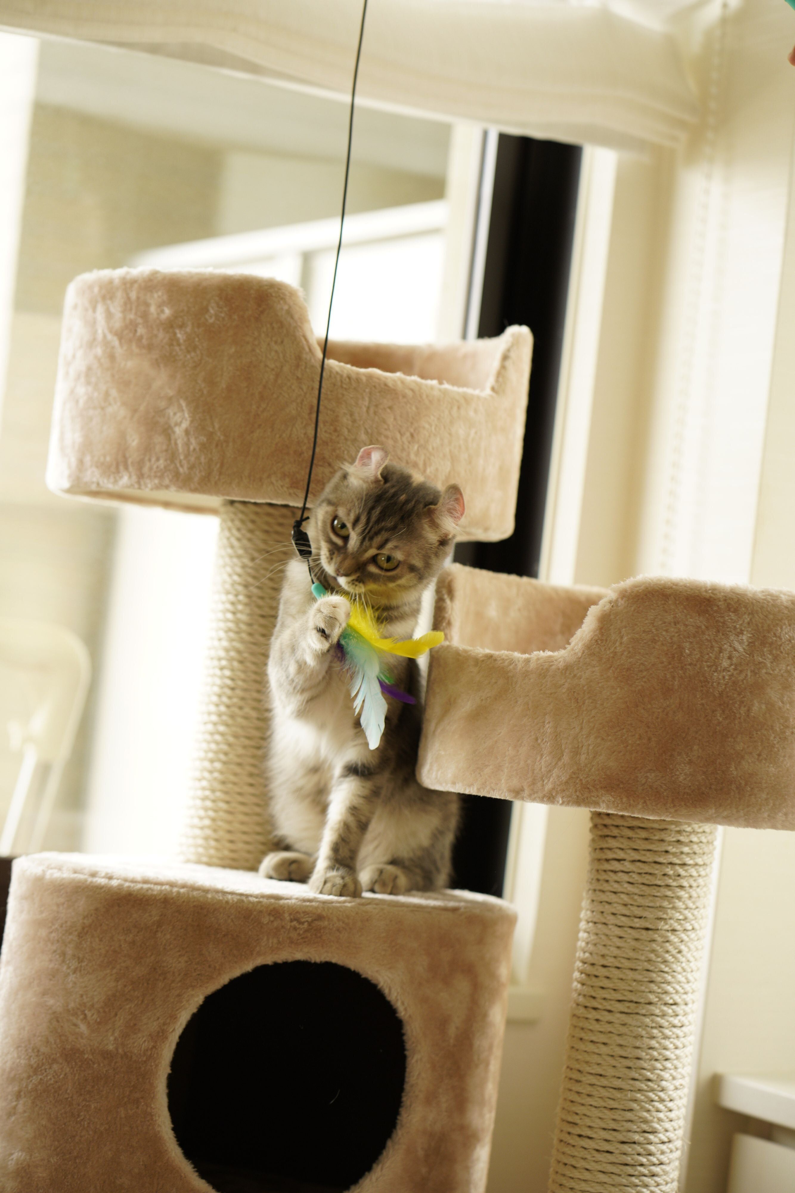 撮影／石原さくら