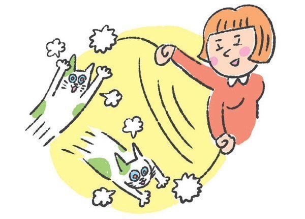 猫の「興奮スイッチ」