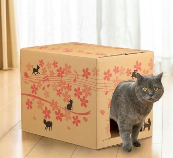 外箱を再利用できる猫砂
