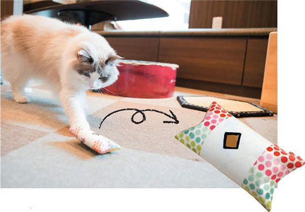 「ねこのきもち」2017年9月号