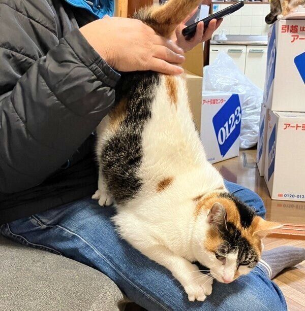 垂直立ちで催促するくるみちゃん