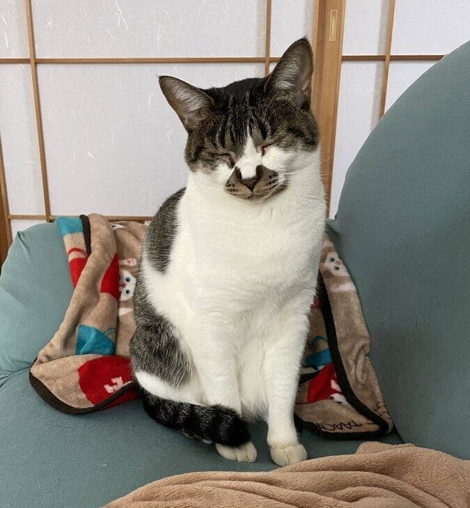 昼寝から起きたでんすけくん