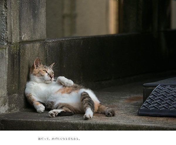 『明日はきっとうまくいく』