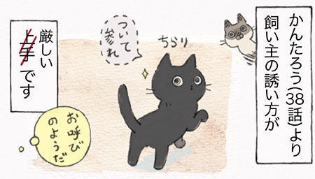 「ねこ連れ草」サムネイル