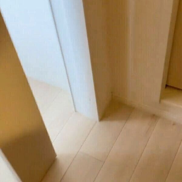 飼い主さんがドアを開けると…