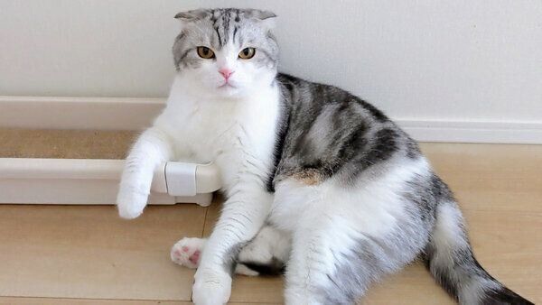 肘をかける倫太郎くん