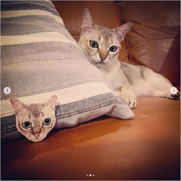 野良繍/noranuiさんの刺繍作品