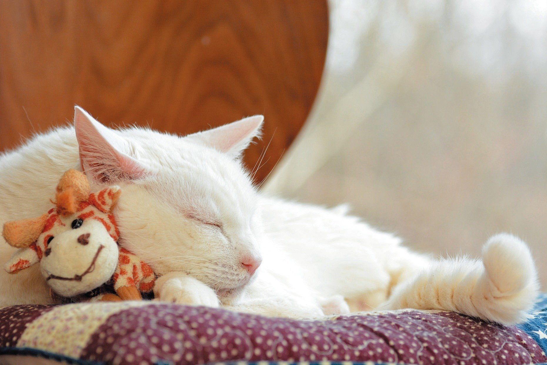 撮影／栗林　愛