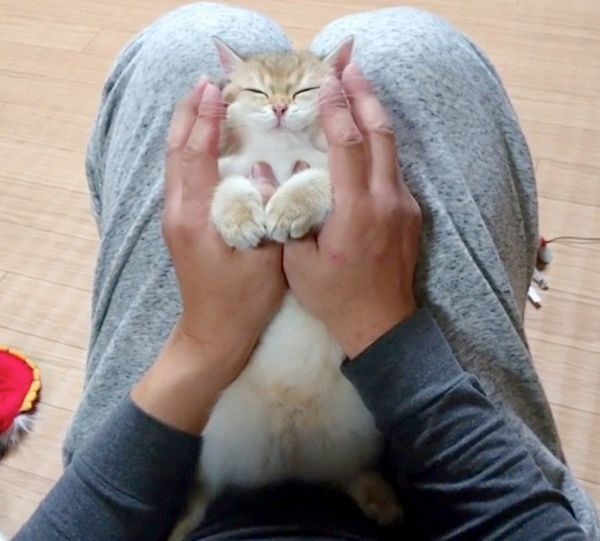 マッサージしてもらうカイくん