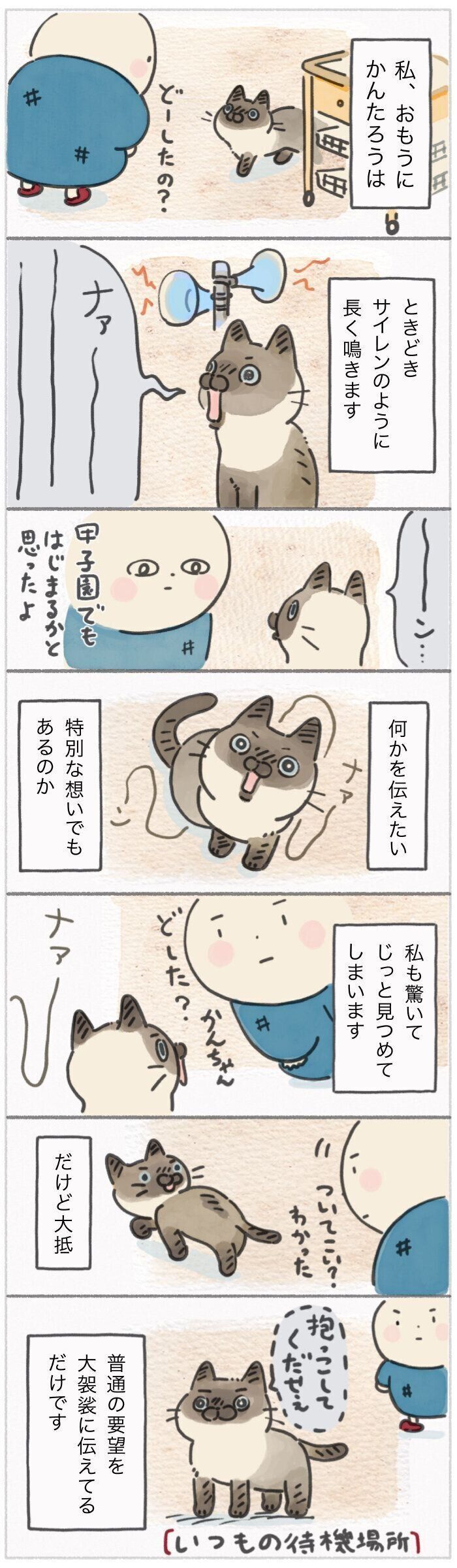 「ねこ連れ草」304話め