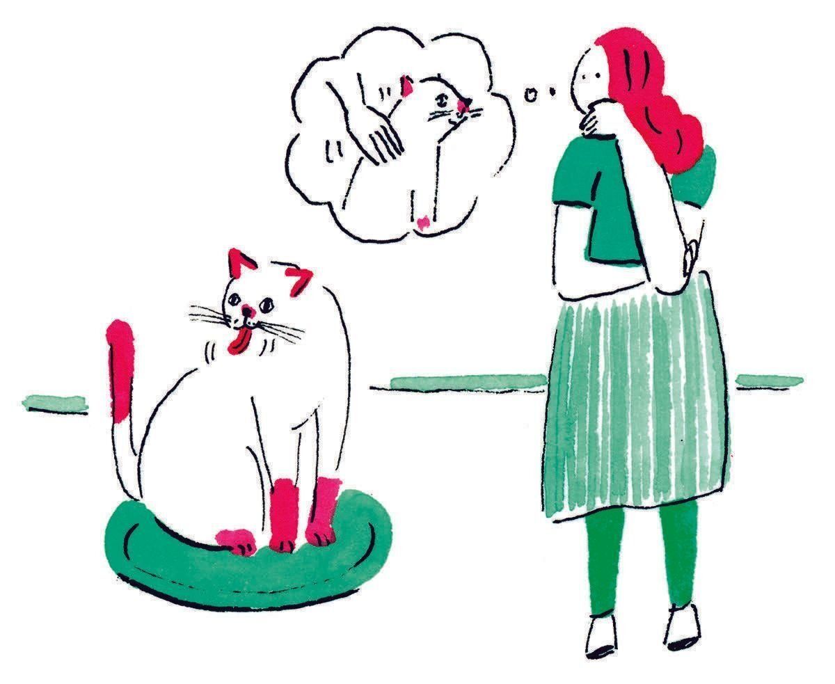 イラスト／ヤマグチカヨ