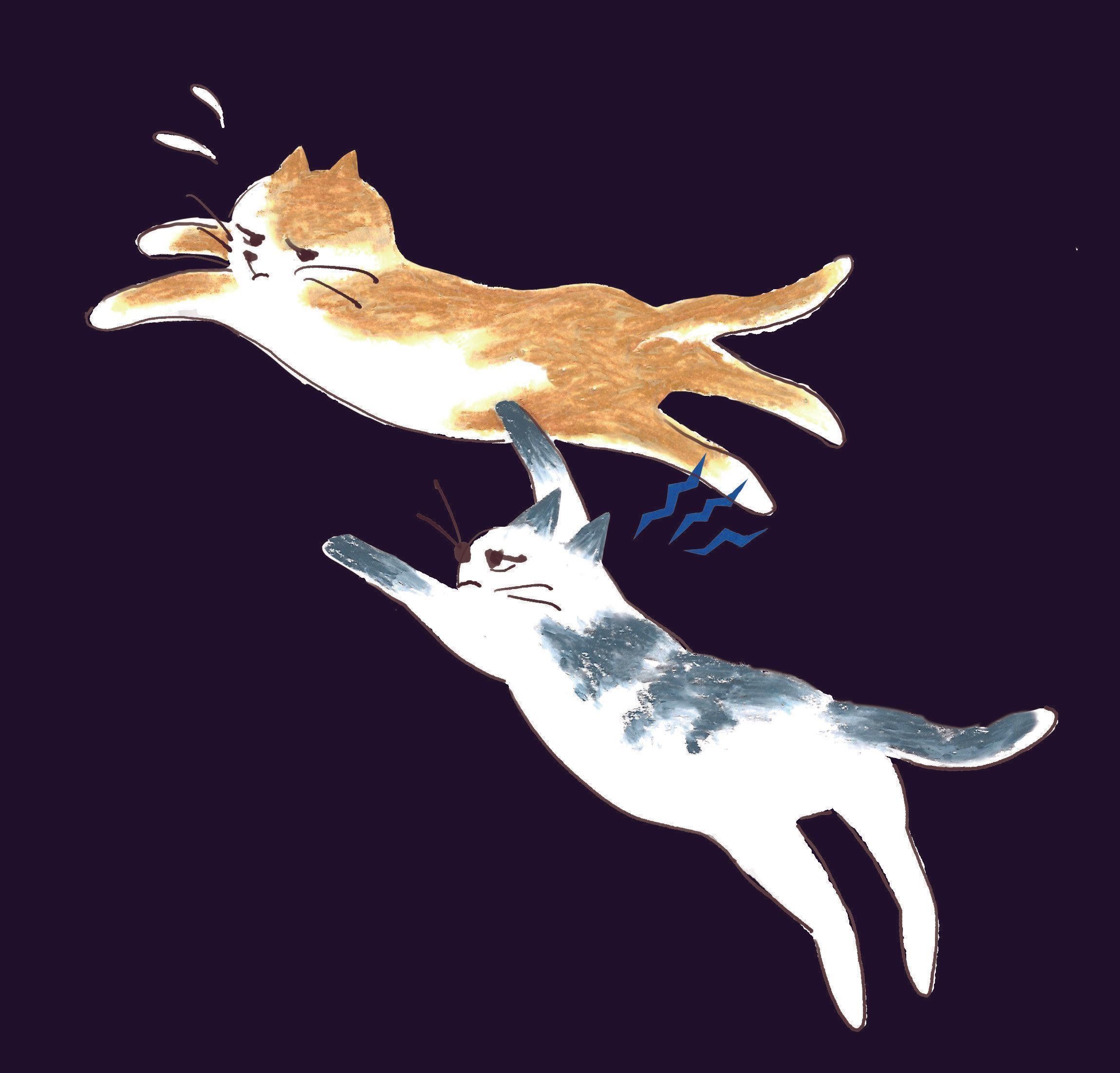 イラスト／mollydomon